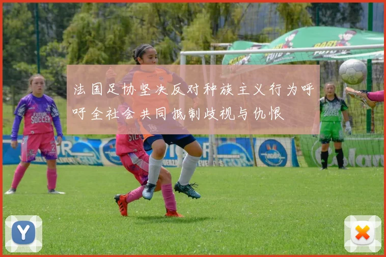 法国足协坚决反对种族主义行为呼吁全社会共同抵制歧视与仇恨
