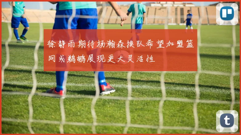 徐静雨期待杨瀚森换队希望加盟篮网或鹈鹕展现更大灵活性